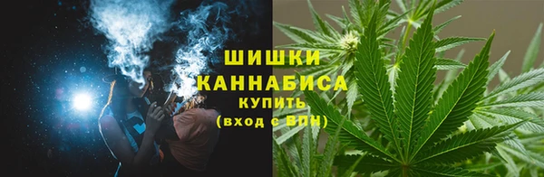 ешки Ельня