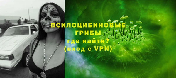 бошки Елабуга