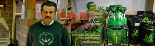 ешки Ельня