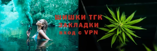 ешки Ельня