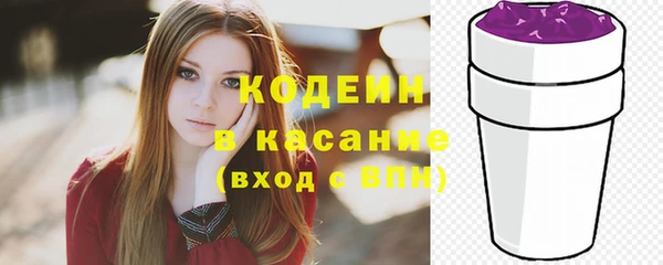 бошки Елабуга