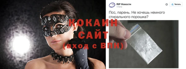 ешки Ельня